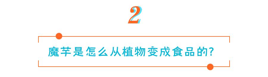 魔芋食品的发展前景,魔芋产品市场前景