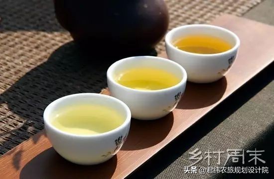 搞茶旅游，别太农业、太专业、太茶叶，我们告诉你为什么