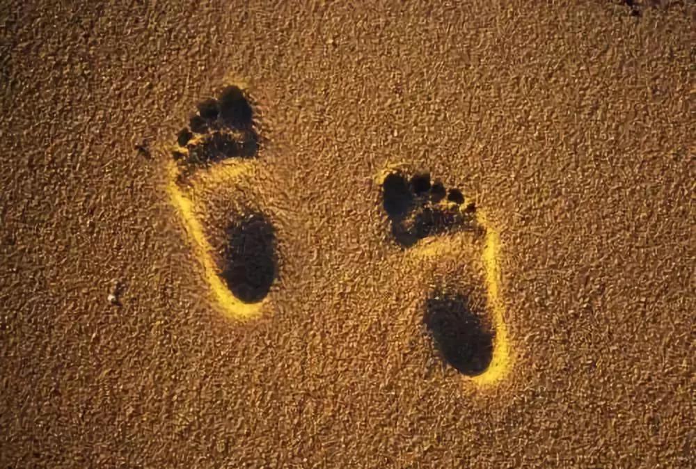 道德经第六十六章全文及译文解释,背诵道德经第六十六章原文及译文