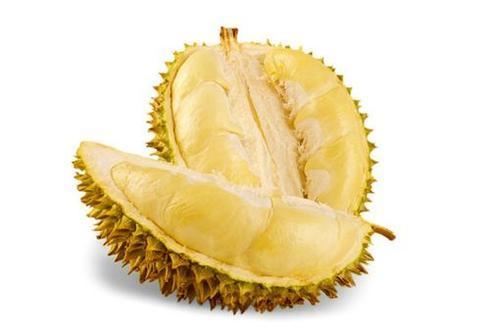 榴莲是水果之王吗,榴莲核子怎样种才能种成一棵树