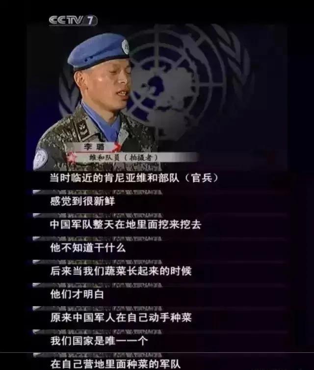 中国的种菜天赋要多离谱,中国种菜天赋惊呆外国人解说