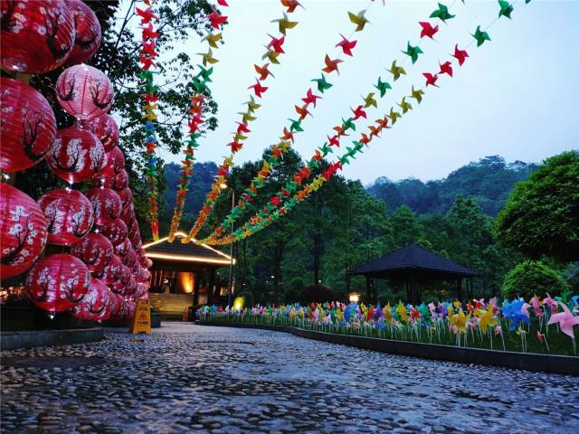 花水湾五星级度假酒店,花水湾森林海温泉度假酒店
