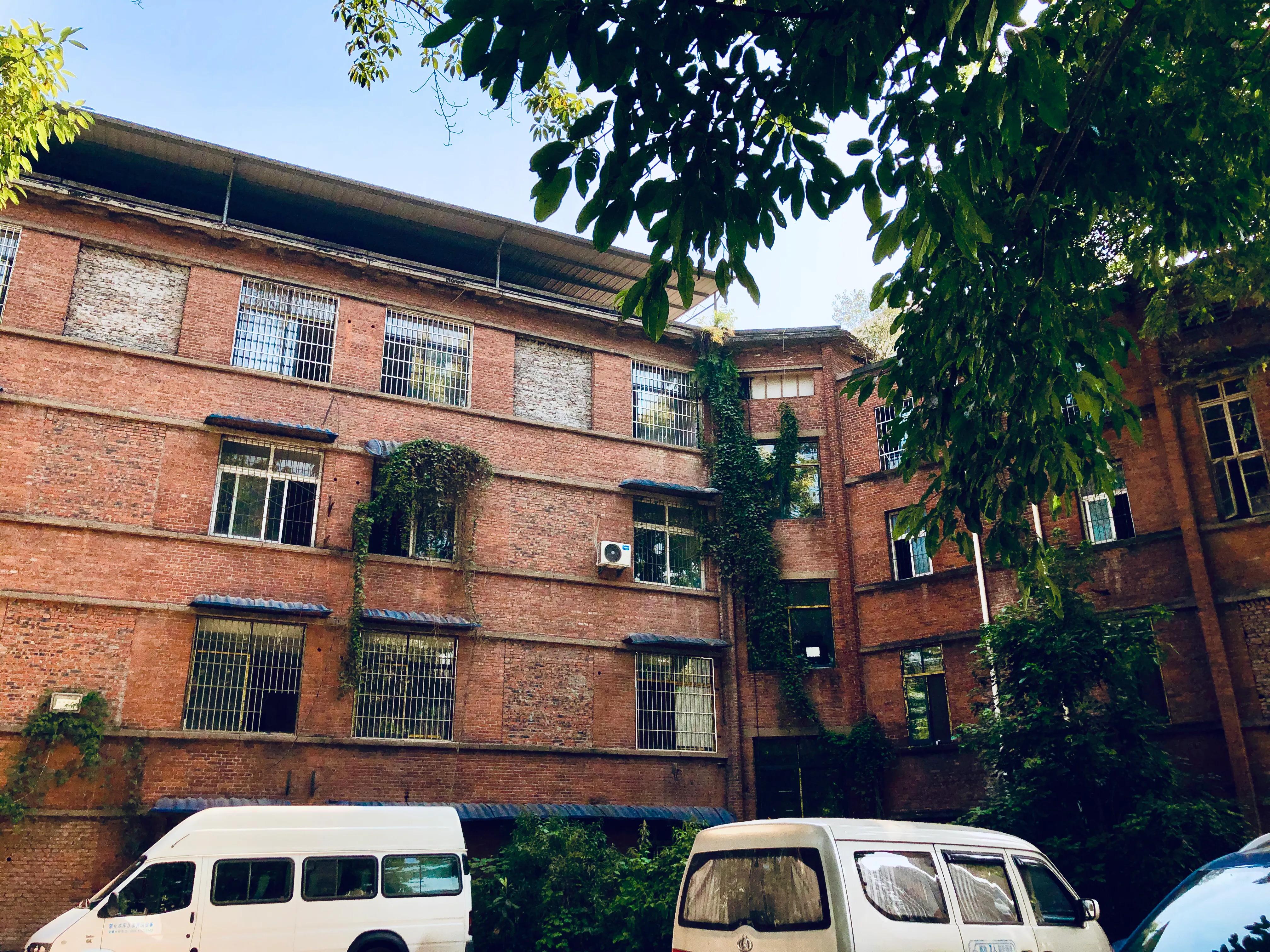 婕閲嶅簡瑙嗛,婕閲嶅簡