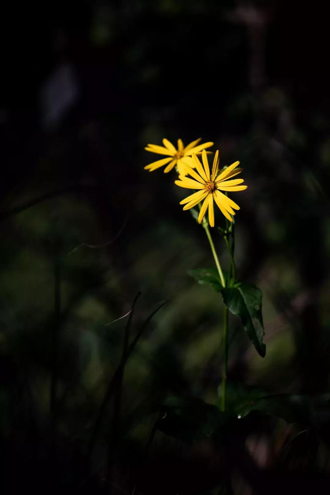 汉字道尽人生智慧路,汉字十大宝典