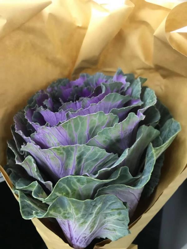 门客生活处理结果,门客生活倒闭怎么维权