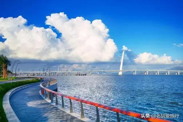 深圳周末春游好去处,深圳春游赏花去哪里好