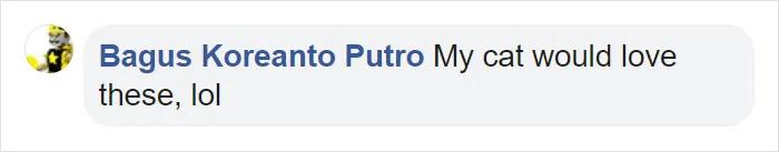 宜家小床被铲屎官们变成宠物床,日本网友:我“泡面杯床”不服