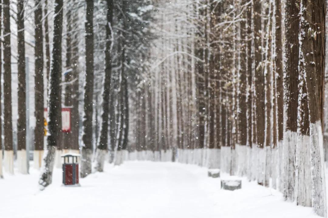 内工大初雪,大工山雪景