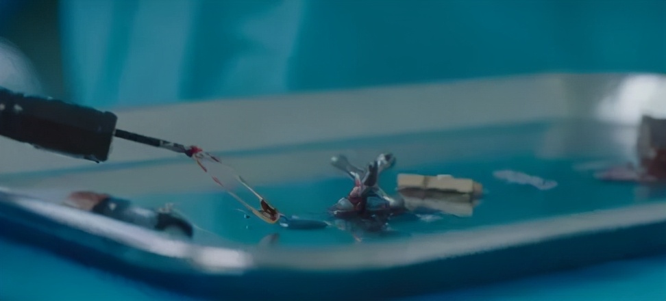 胆小慎入眼中的恐惧,胆小慎入粤语