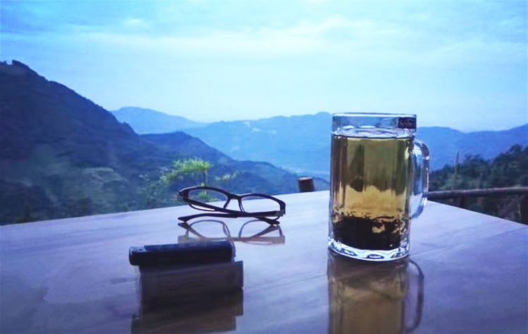 1h飚拢！千年银杏、云海星空、木屋烧烤……这条路线9……