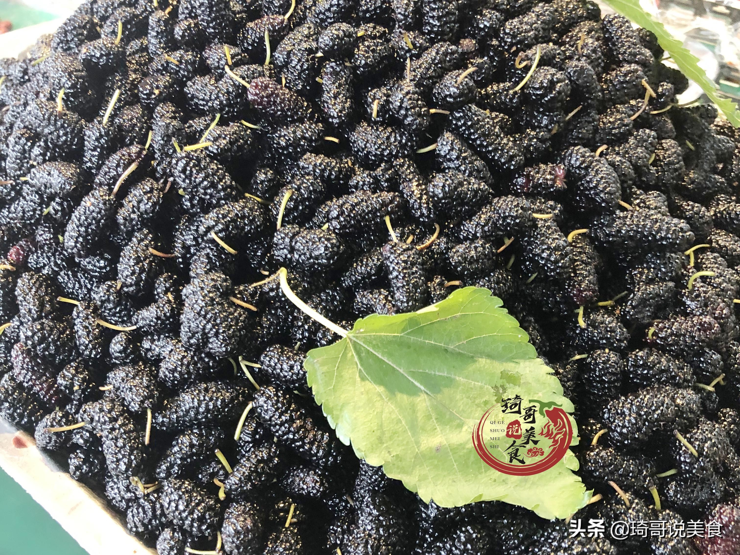 清水洗水果等于吃虫卵,桑葚用酒洗可以洗出幼虫吗