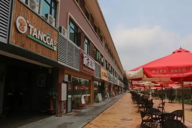 高职高考广东岭南职业技术学院,广东岭南职业技术学院高职宿舍