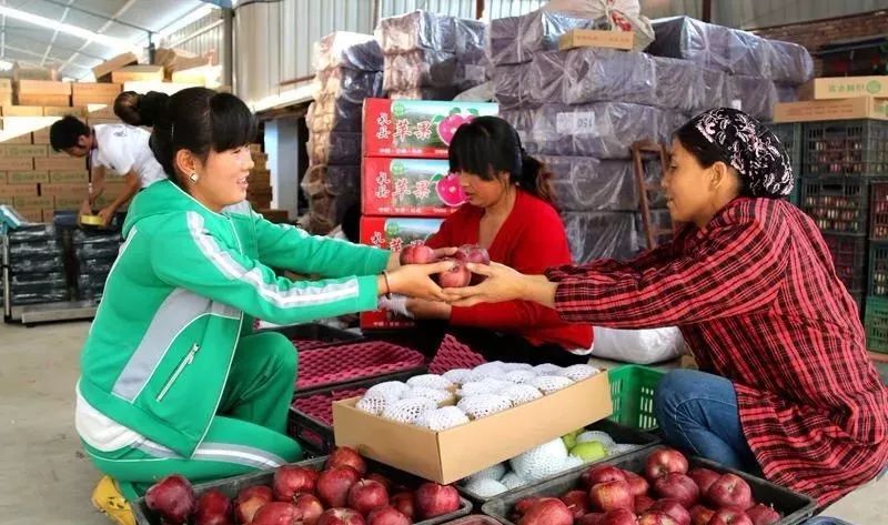 那山那水滇红茶,那山那水我代言