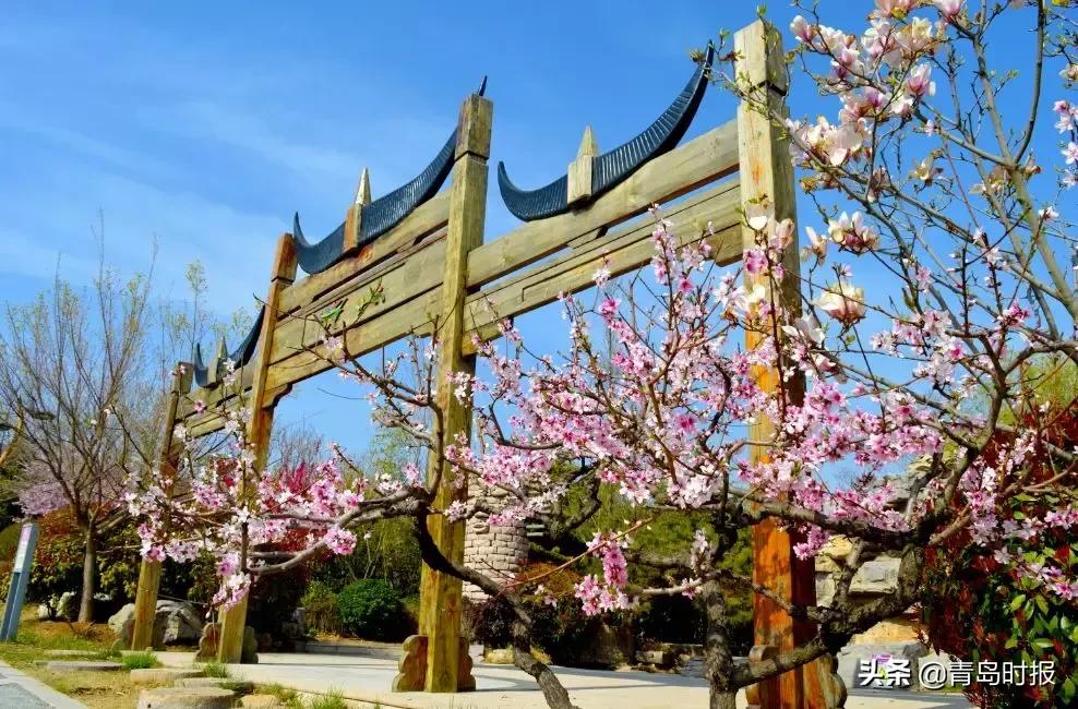 山东问政世博园问题,青岛世博园最失败投资