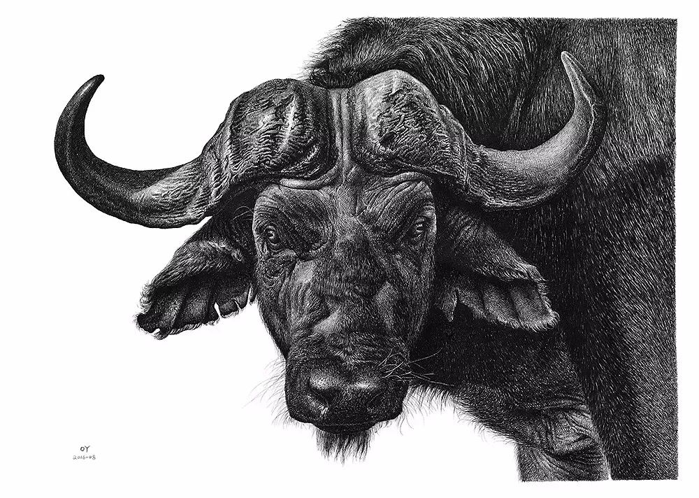 简单针管笔手绘花,简单易学针管笔手绘