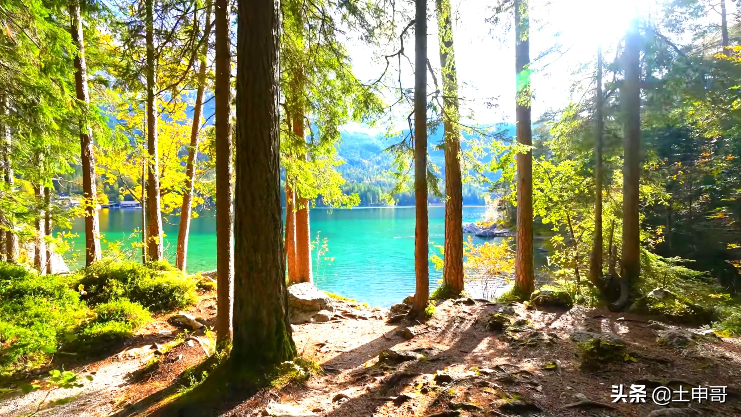 巴伐利亚好玩的地方推荐,德国值得玩的地方