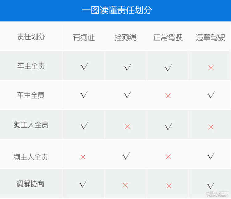 避之唯恐不及车撞死狗后该如何处理？
