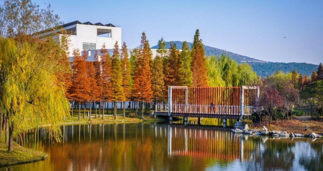 最详实的录取数据告诉考生，考入中国矿业大学要多少分