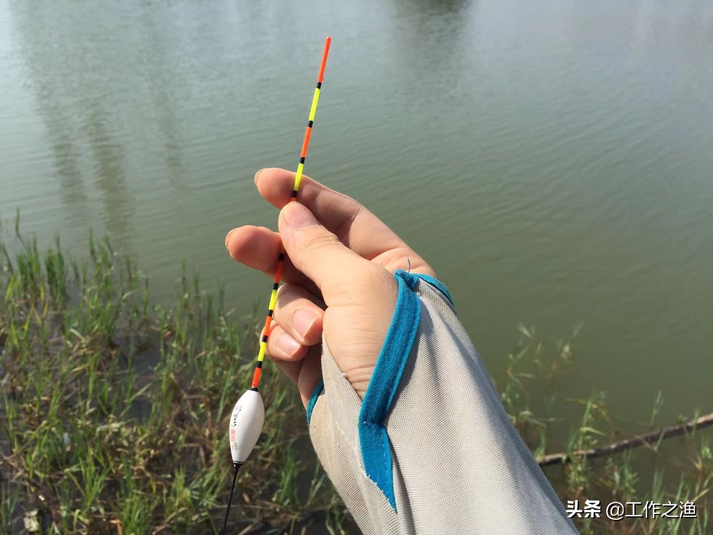 肥水鱼在窝里不吃钩怎么钓,肥水鱼炸水但不咬钩