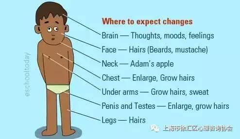 这位妈妈有权拒绝公公为自己女儿洗澡！（附：美国性教育大纲）