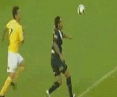 搞笑视频,搞笑动图gif猫咪