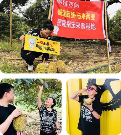 榴莲西施施威：从消费者中来到消费者中去，坚持用产品说话