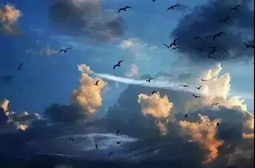 卡尔荣格说,卡尔荣格人生四个阶段