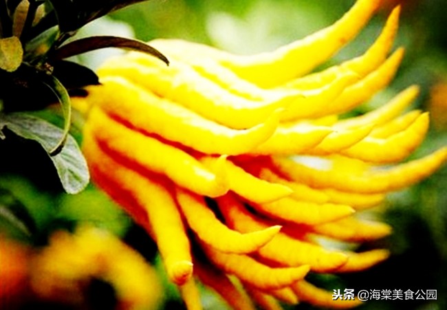 女人40岁多吃三种保养食物,40岁的女性经常吃哪些对皮肤好