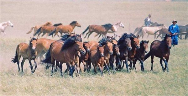 蒙古国经济现在怎么样了,蒙古国2019年经济