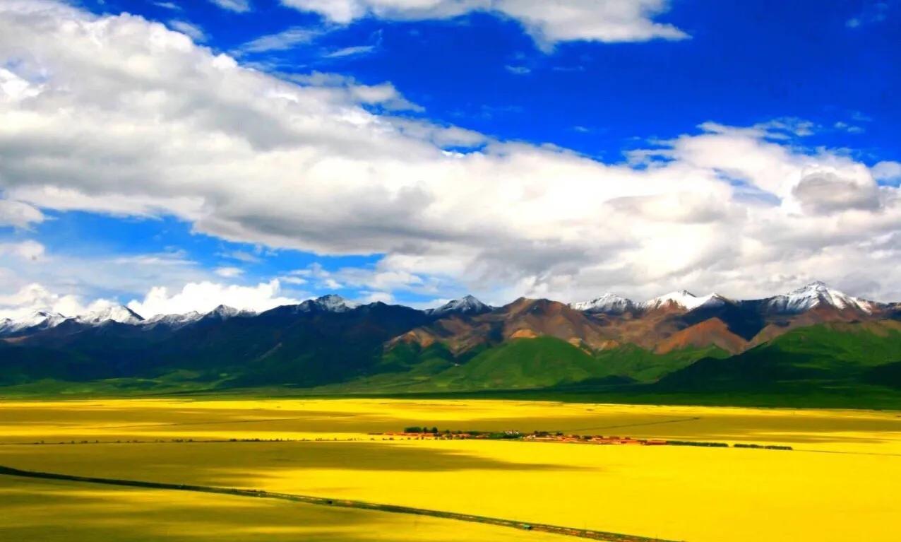 赏油菜花攻略,寻找最美油菜花可去这十大景点