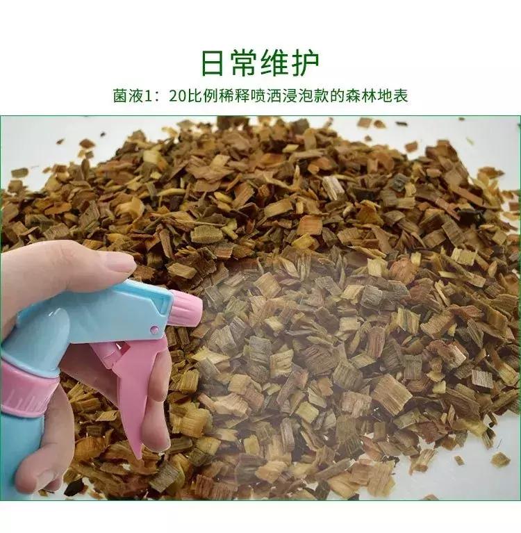 如何让观赏蛇类在人工环境下住得幸福