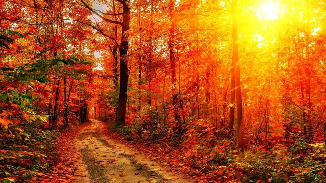 时光匆匆山河已是秋,时光如水山河已秋