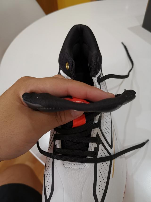 罗斯玫瑰战靴,玫瑰十年