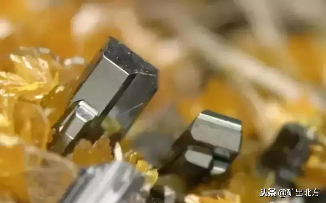 看到哪些标志要远离呢,看到这几种东西千万不要捡