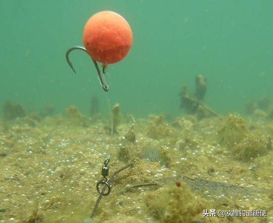 钓鱼也是一种技术,科学钓鱼的基本原理