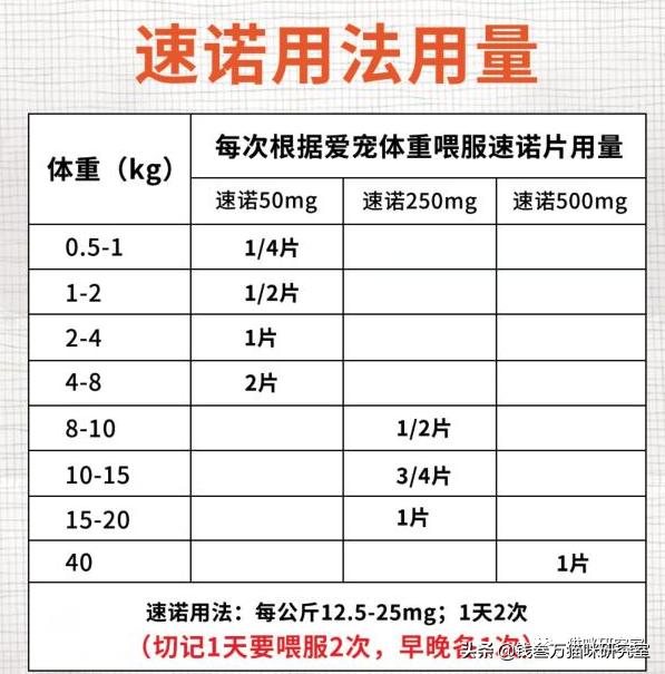 儿童阿莫西林可以给猫吃吗,阿莫西林可以给猫治感冒吗