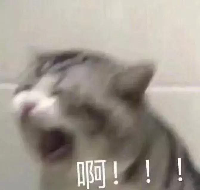 高跟鞋百元和千元差距,1000多和200块的高跟鞋区别