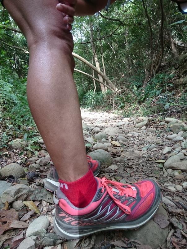 萨洛蒙和泰尼卡越野跑鞋,泰尼卡越野跑鞋至尊全能比较