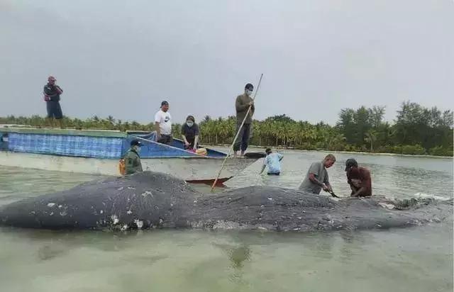 化妆品里竟然含有塑料？