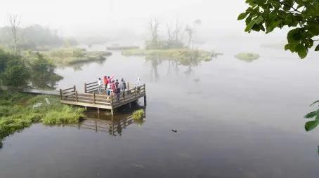 生态绿了,口袋富了!神农架大九湖“钉子户”后悔搬晚了
