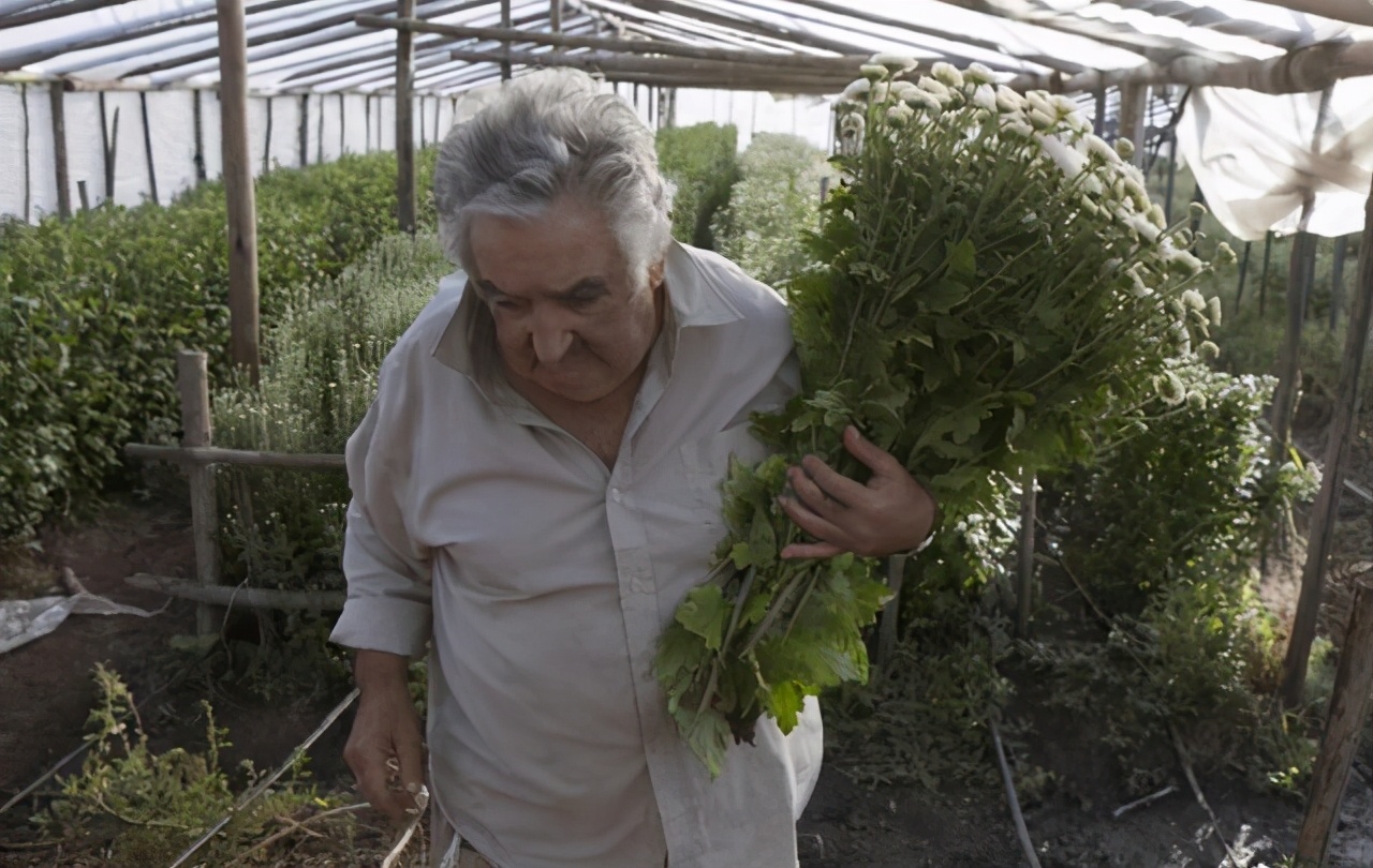 世界上最穷的总统是谁,最穷总统的现状