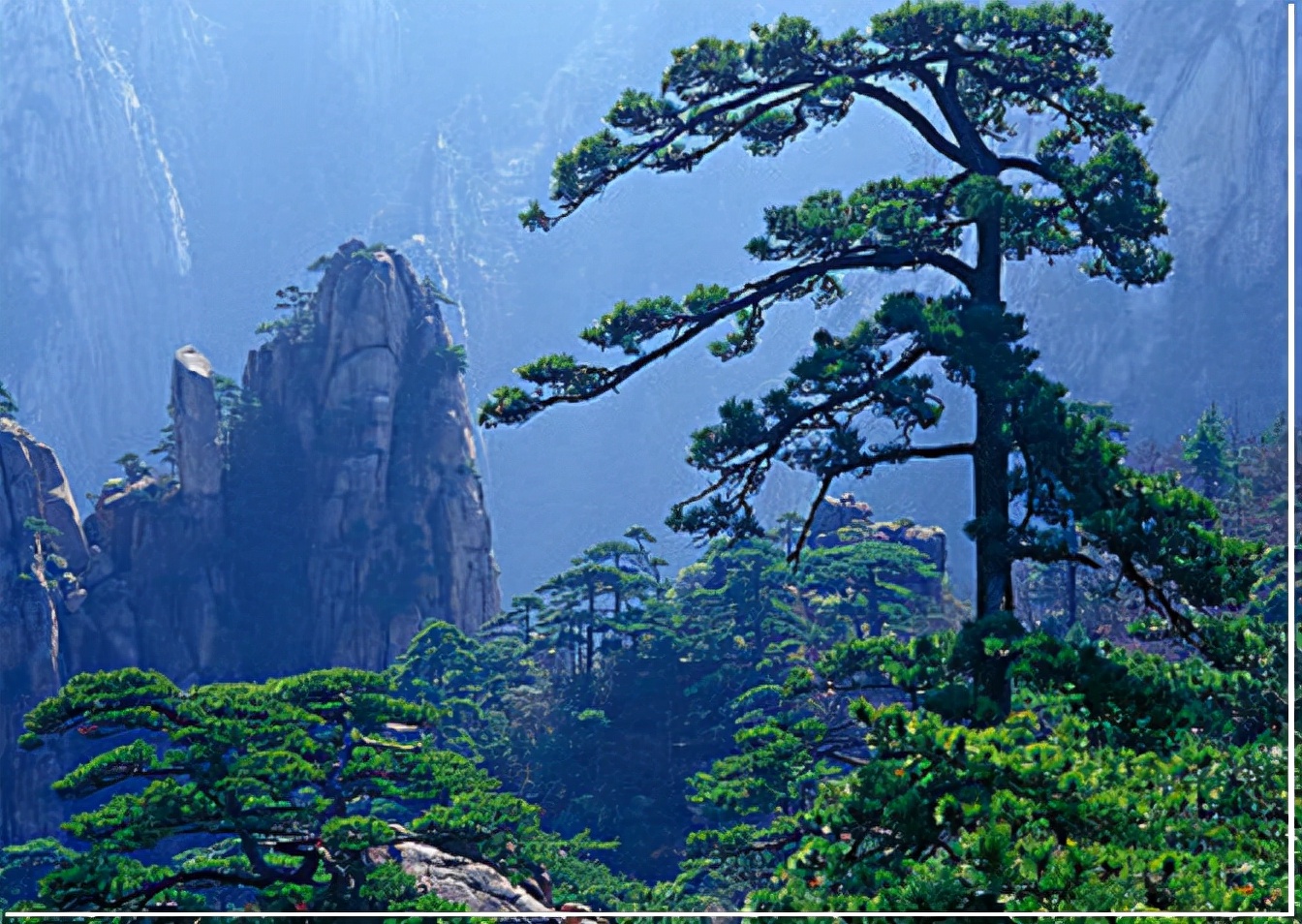 《血战太原》118第118回猎野猪陡然出意外林深处艳红遭虎攻