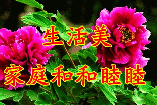 献给教师节老师辛苦了,教师节送给最美的老师们