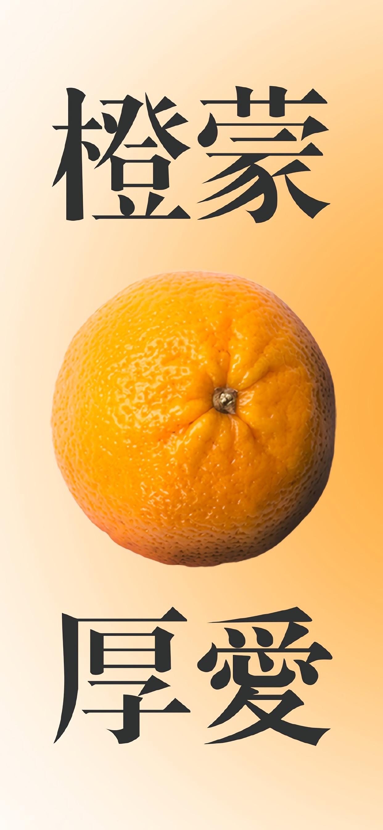 高清美食手机壁纸图片大全,高清手机壁纸美食简约