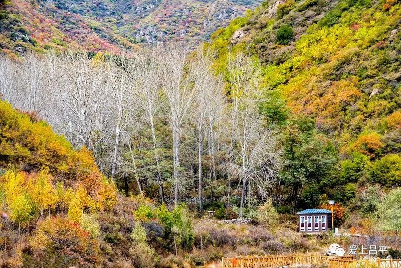 昌平区适合一日游玩踏青的地方,4月中旬昌平区最值得去的景点