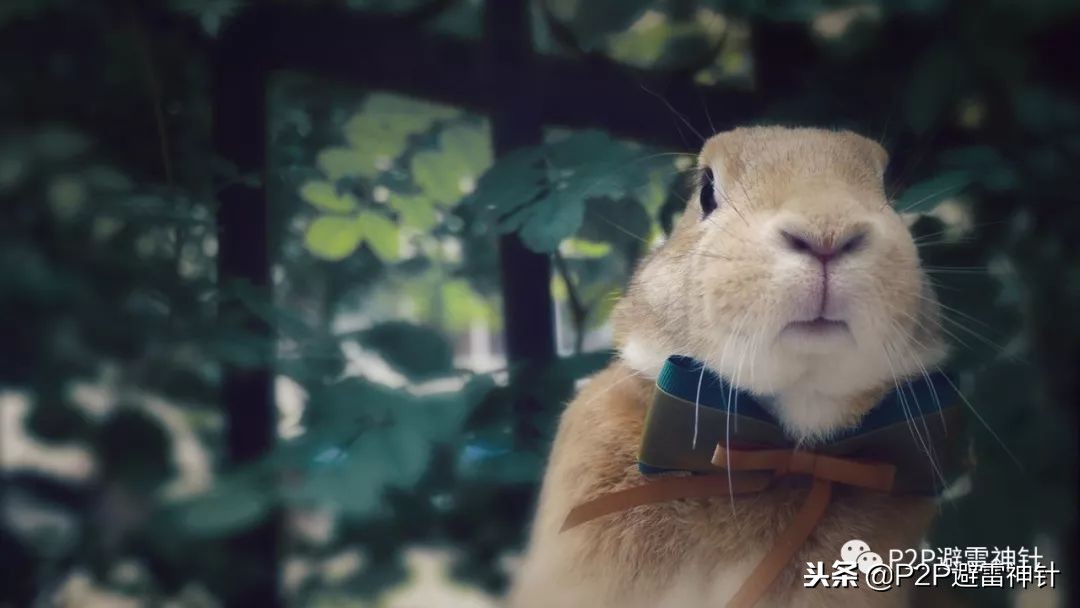 千亿p2p,小牛p2p最新处理结果