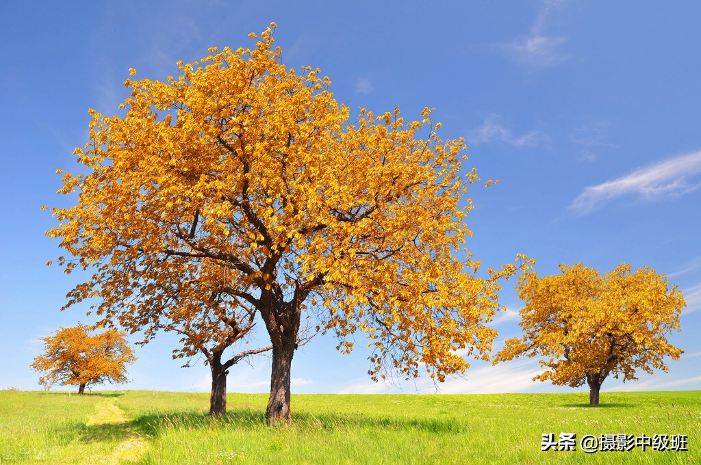 摄影构图三大禁忌,摄影构图常犯的错误新手必须谨慎