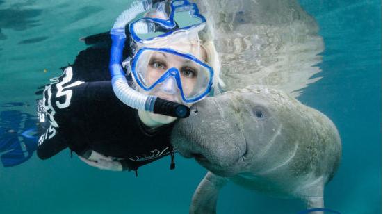 动物世界的生活方式,速度慢的动物世界