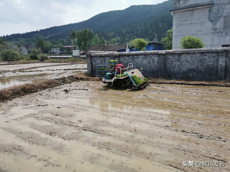 江西萍乡高质量推进乡村振兴,萍乡乡村振兴与脱贫攻坚