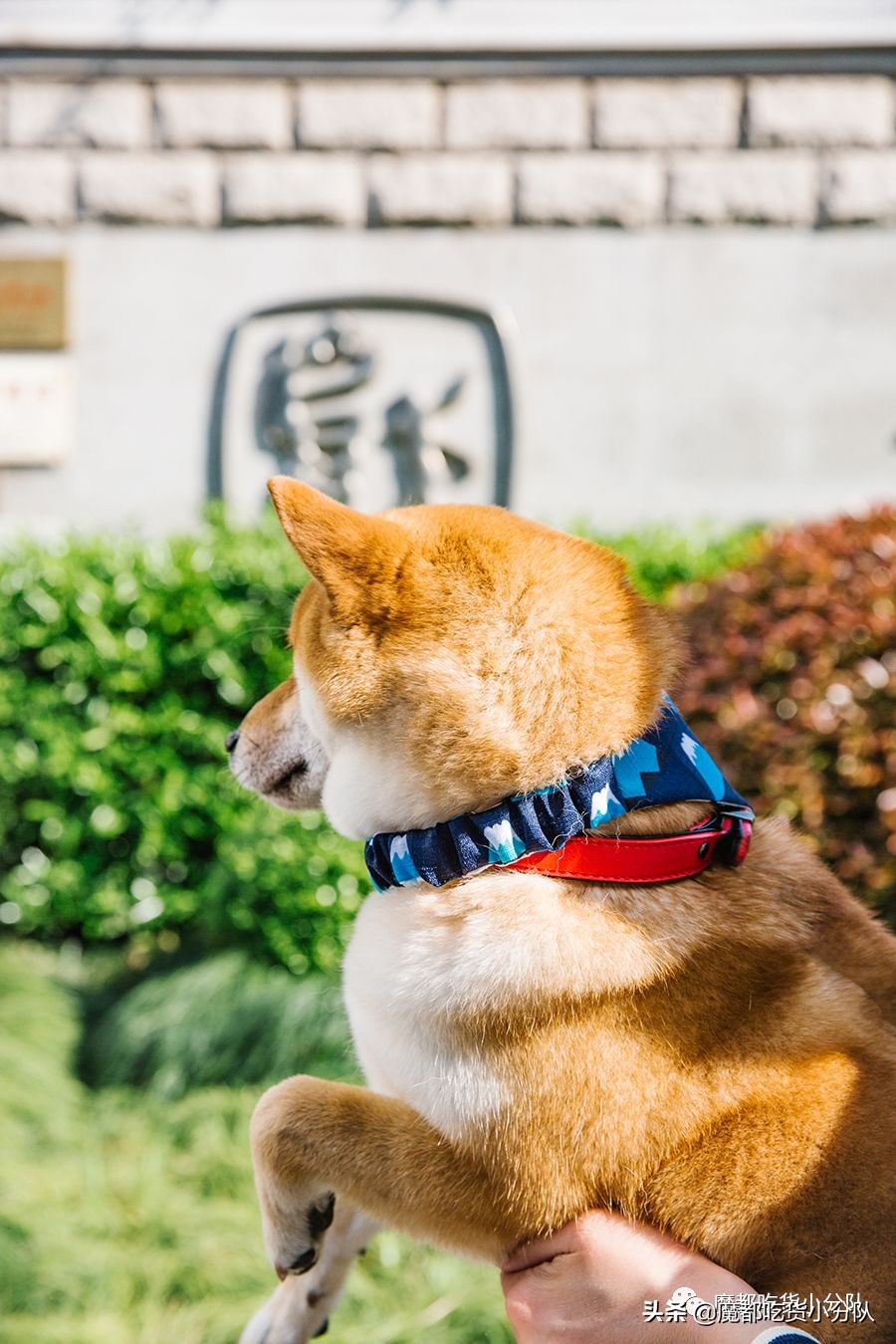 高考择校tips,高考择校指导985211